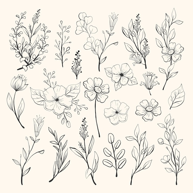 Vector hand drawn flower collection