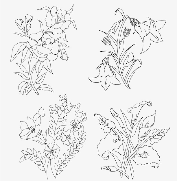 Hand drawn flower collection