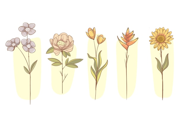 Hand drawn flower collection