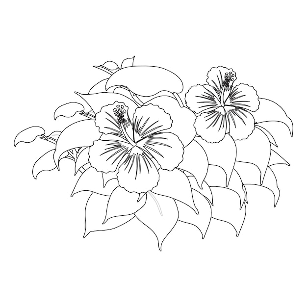 hand drawn flower coloring pages for kids. Concept vector illustration. sketch illustrate Isolate