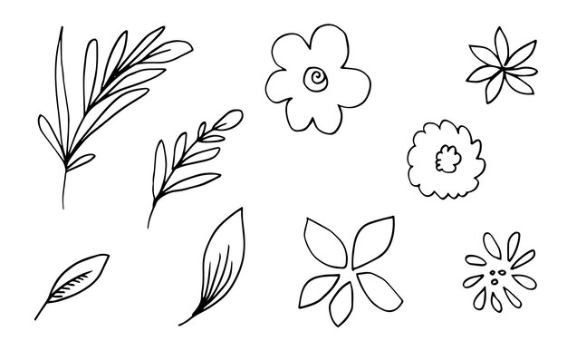 hand drawn flower images such as bell flower chrysanthemums sunflowers and tropical leaves.