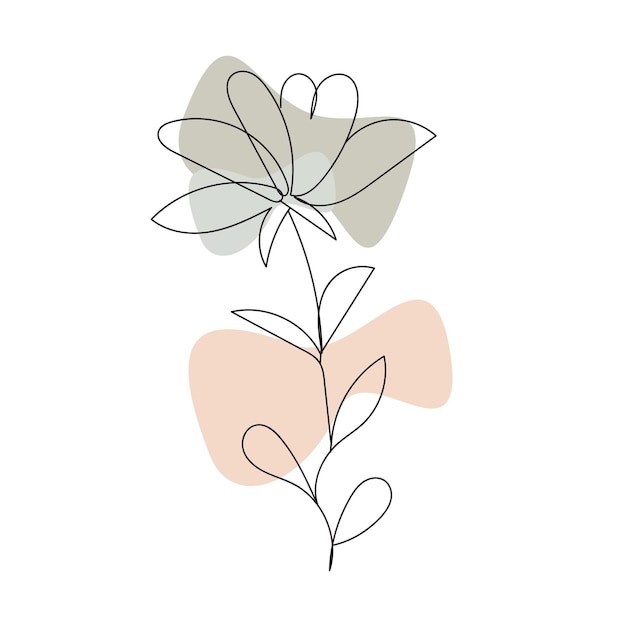 Hand drawn flower and leaves collection set element