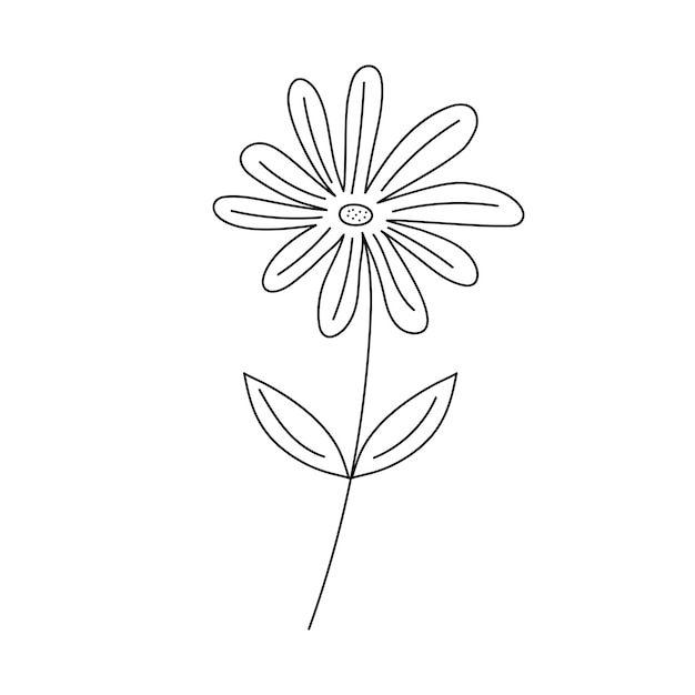 Hand drawn flower in line art doodle style Botanical decorative element