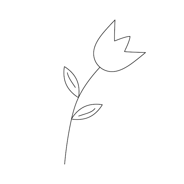 Hand drawn flower in line art doodle style Botanical decorative element