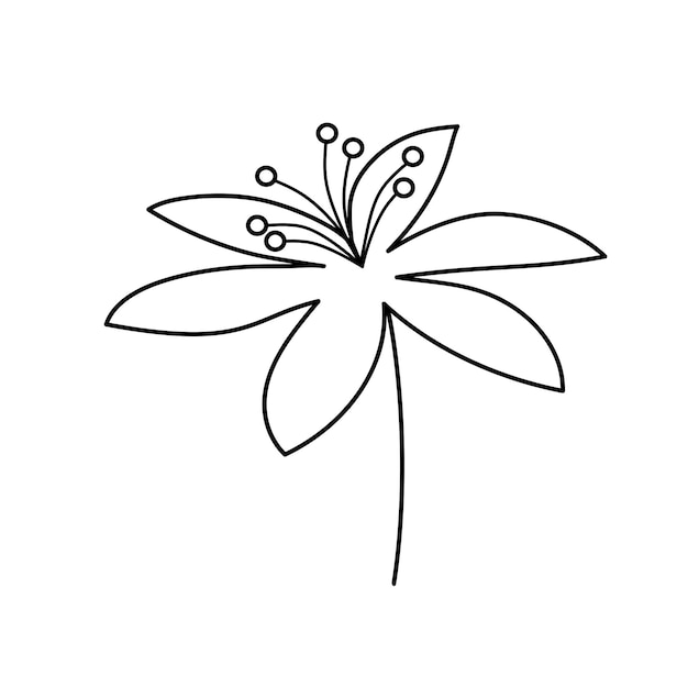 Hand drawn flower in line art doodle style Botanical decorative element