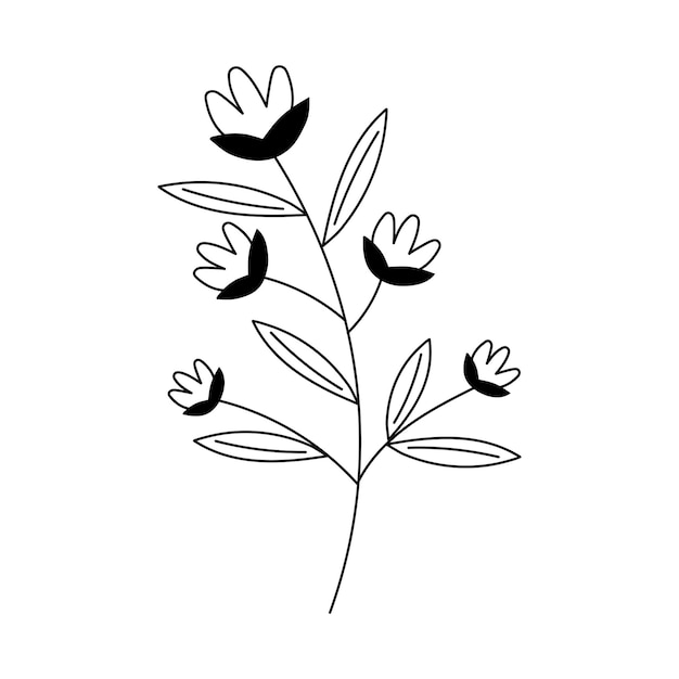 Hand drawn flower in line art doodle style Botanical decorative element