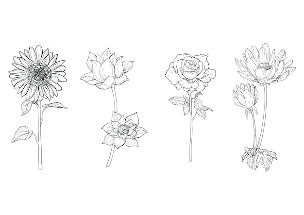 Hand drawn flower set