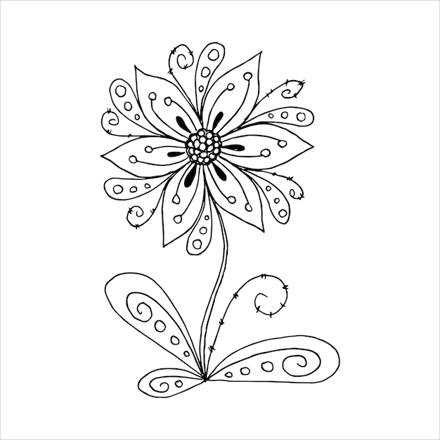 Hand drawn flower single doodle element for coloring black and white vector image