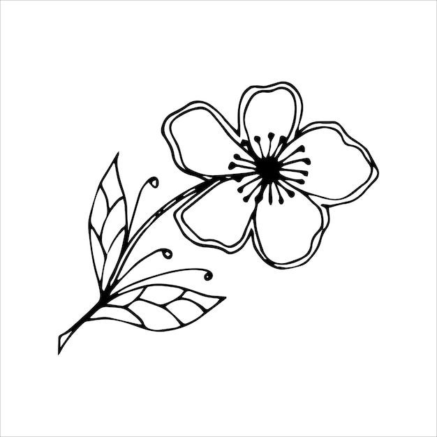 Hand drawn flower single doodle element for coloring black and white vector image