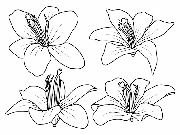 Hand drawn flower sketch line art illustration set