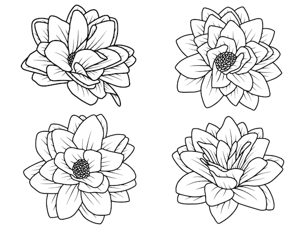 Hand drawn flower sketch line art illustration