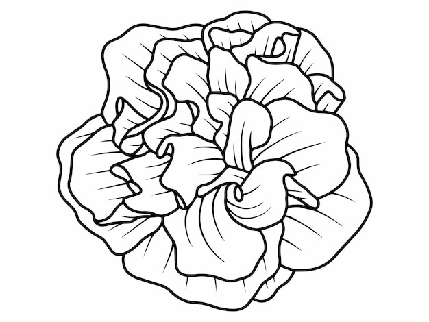 Hand drawn flower sketch line art