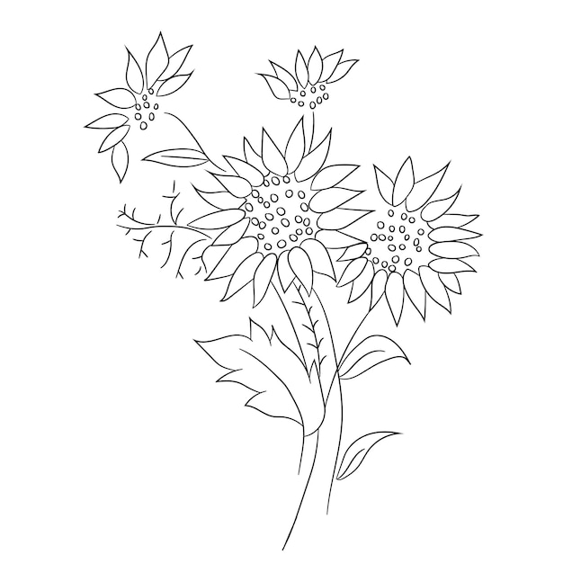 hand drawn flowers in a beautiful styles