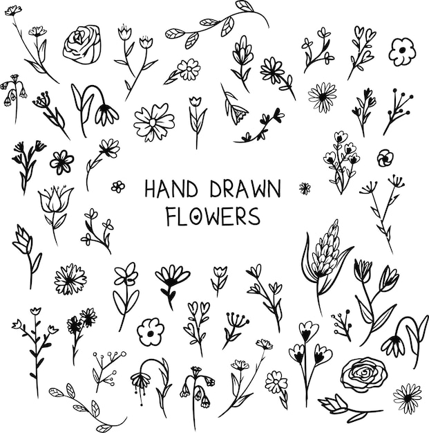 Hand drawn flowers collection simple flower set pack