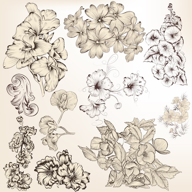 Hand drawn flowers collection