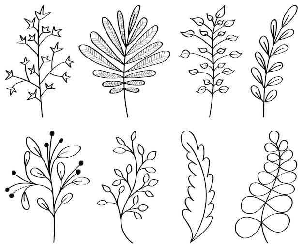 Vector hand-drawn flowers, leaves, branches. outlines of floral elements. botanical illustration. suitable for web, stories, wedding invitations, postcards, quotes, blogs, frames.