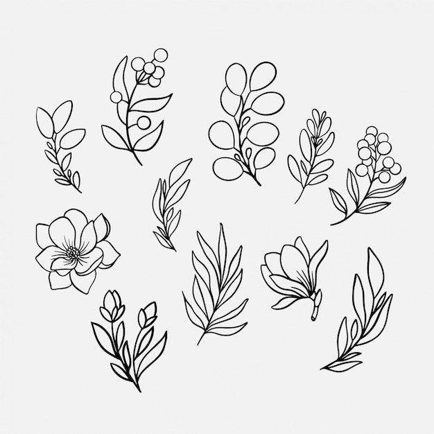 Hand drawn flowers and leaves collection illustration