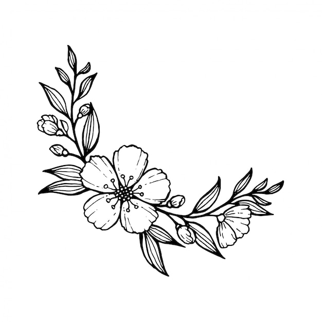 Hand drawn flowers and leaves line art.