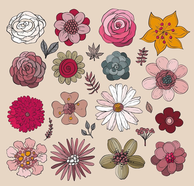 Hand drawn flowers and plants Vector illustrations