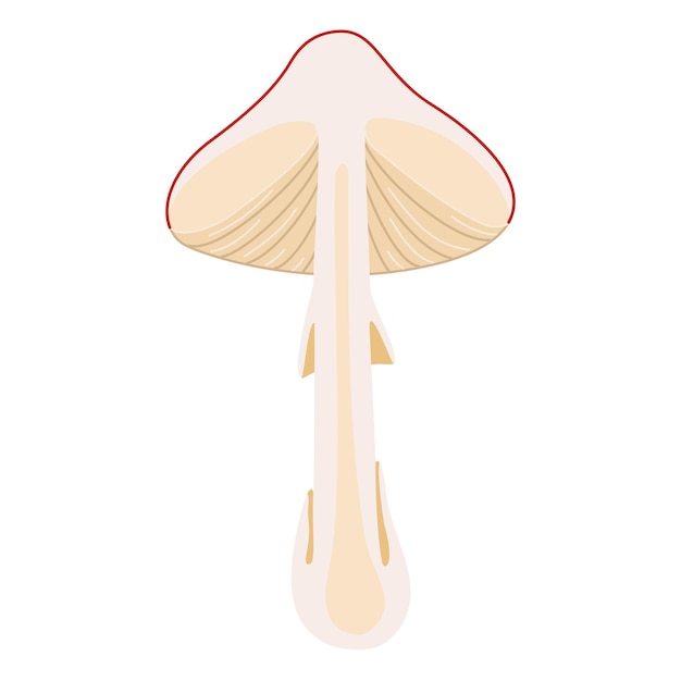 Vector hand drawn fly agaric half a mushroom flat style magic fungus