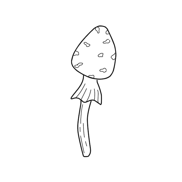 Hand drawn forest mushroom in doodle style