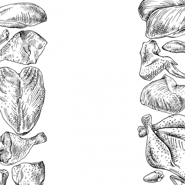 Hand drawn frame of Chicken cuts, hen parts. Domestic bird meat set. Engraving sketch style. 