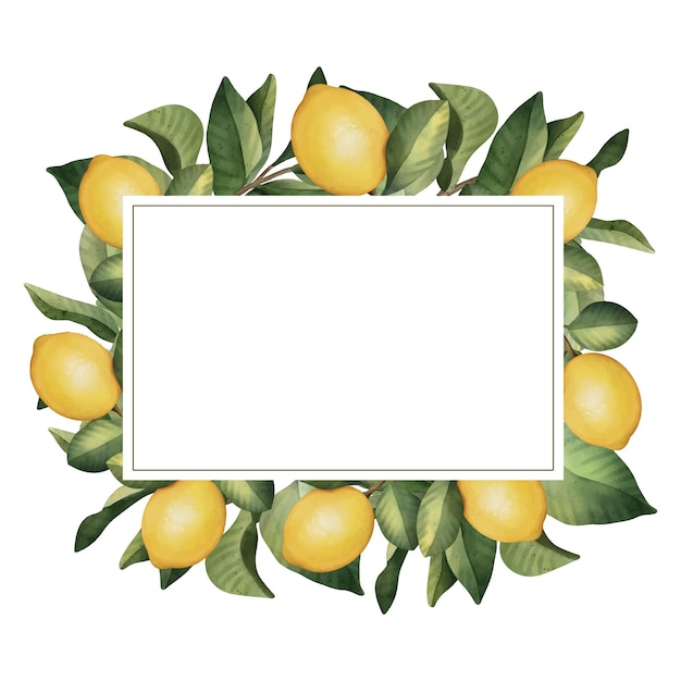 Hand drawn frame of watercolor lemon Watercolor illustration wreath of lemon and leaves