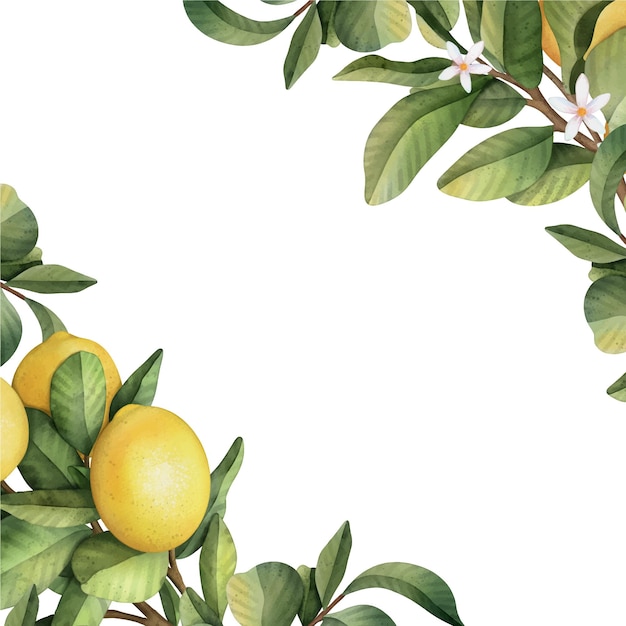 Vector hand drawn frame of watercolor lemon watercolor illustration wreath of lemon and leaves