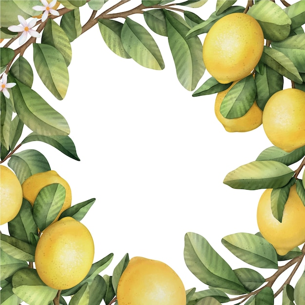 Hand drawn frame of watercolor lemon Watercolor illustration wreath of lemon and leaves