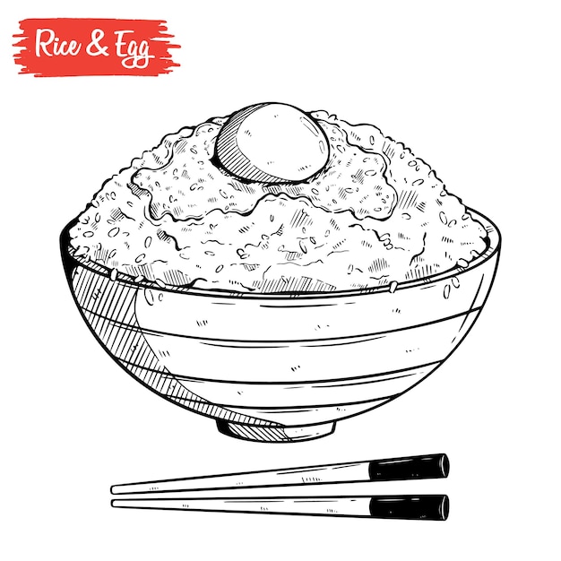 Hand drawn fried egg on rice bowl Vector illustration of Japanese food line art of Asian food