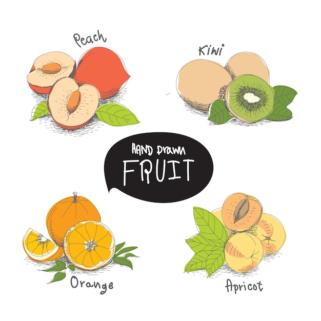 Hand drawn fruit design elements