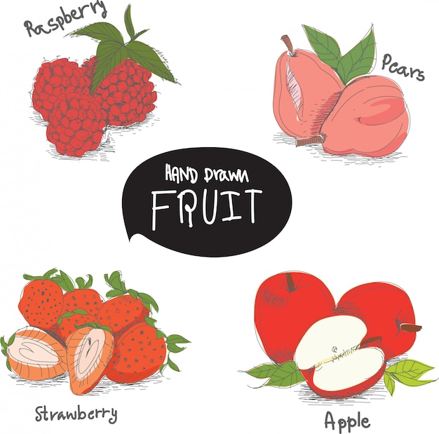 Hand drawn fruit design elements