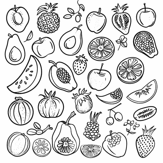 Hand drawn fruit illustration set black and white line art