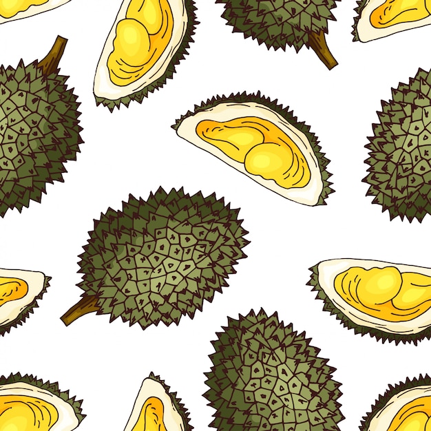 Hand drawn fruit illustration