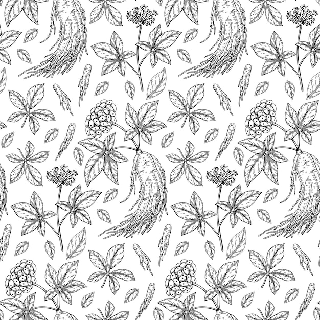 Hand drawn ginseng seamless pattern Vector illustration in sketch style Medicinal plant background