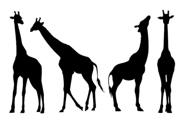 Hand drawn giraffe  silhouette collection