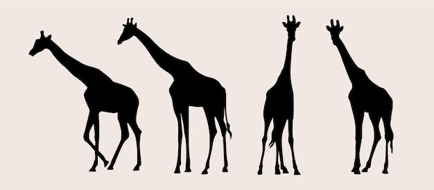 Hand drawn giraffe silhouette