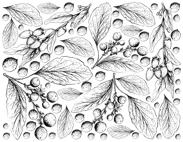 Hand Drawn of Goji Berries and Orangeberry Fruits Background