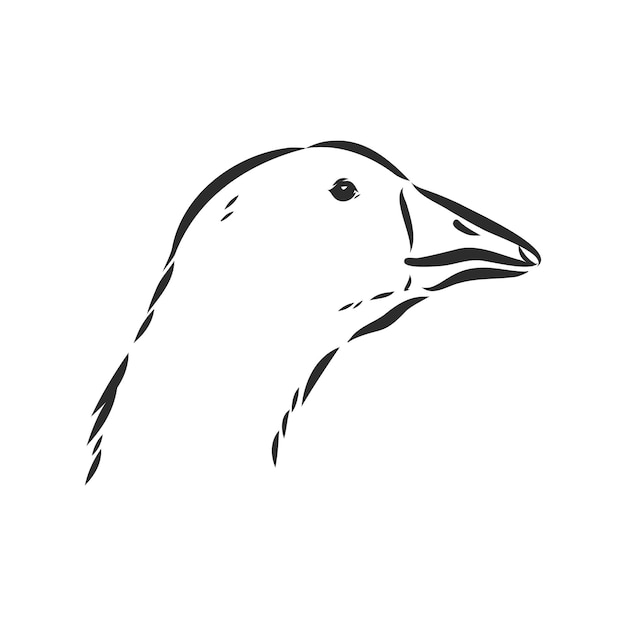 Hand drawn goose isolated design works goose animal vector sketch illustration