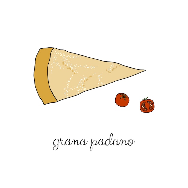 Hand drawn grana padano cheese