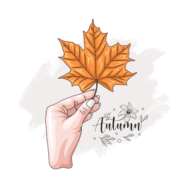 Vector hand drawn hand holding maple leaf 1