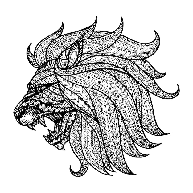 Hand drawn head of Lion background