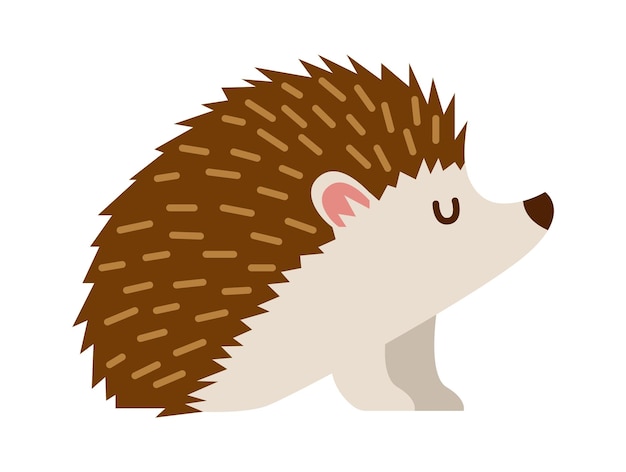 Hand drawn hedgehog animal Vector illustration