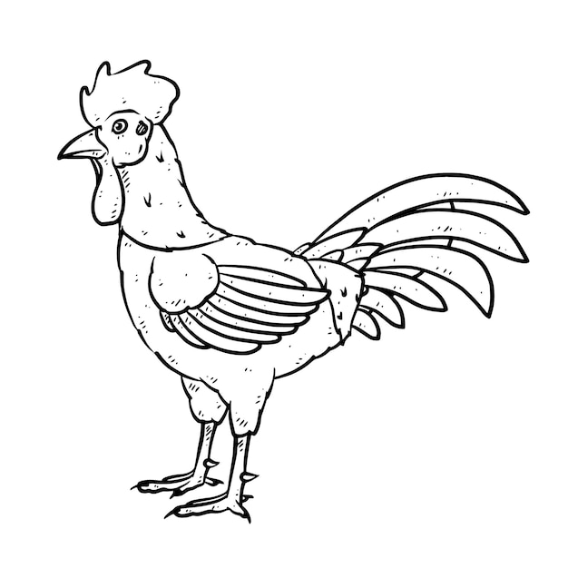 Hand drawn hen in doodle style sketch