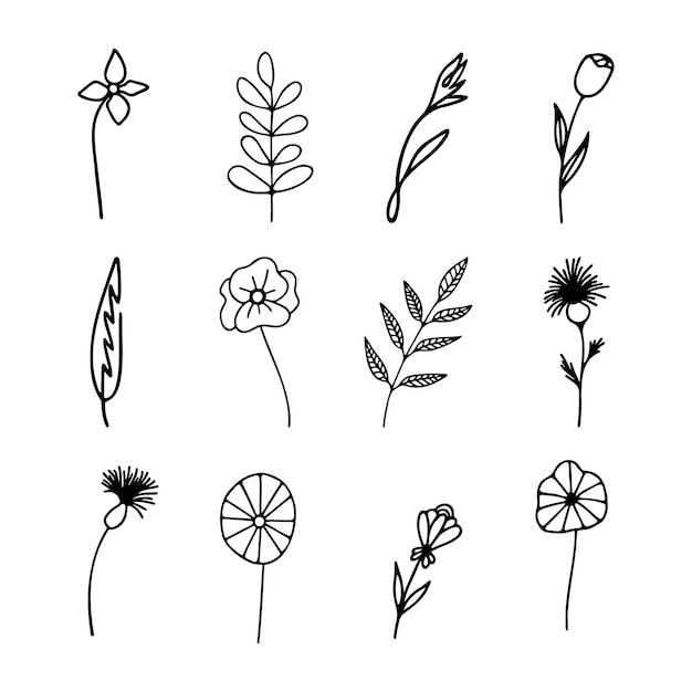 Hand drawn herbal floral clipart collection One line doodle vector set