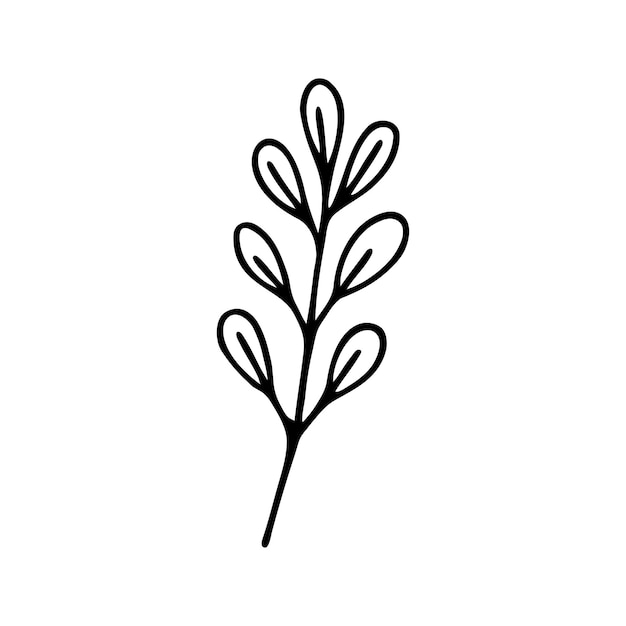 Hand drawn herbal floral clipart One line doodle vector