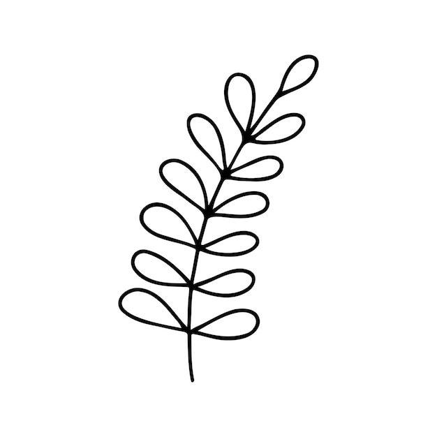 Hand drawn herbal floral clipart One line doodle vector