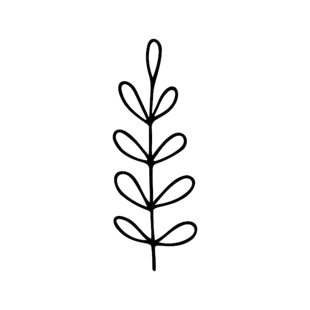 Hand drawn herbal floral clipart One line doodle vector