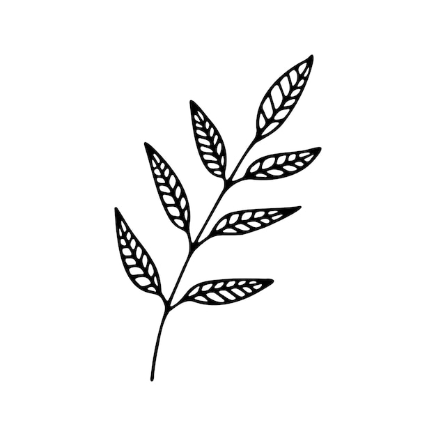 Hand drawn herbal floral clipart One line doodle vector