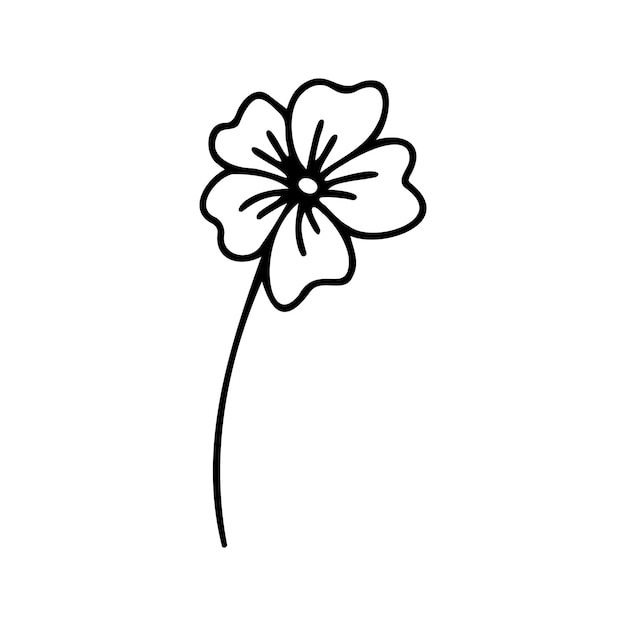 Hand drawn herbal floral clipart One line doodle vector